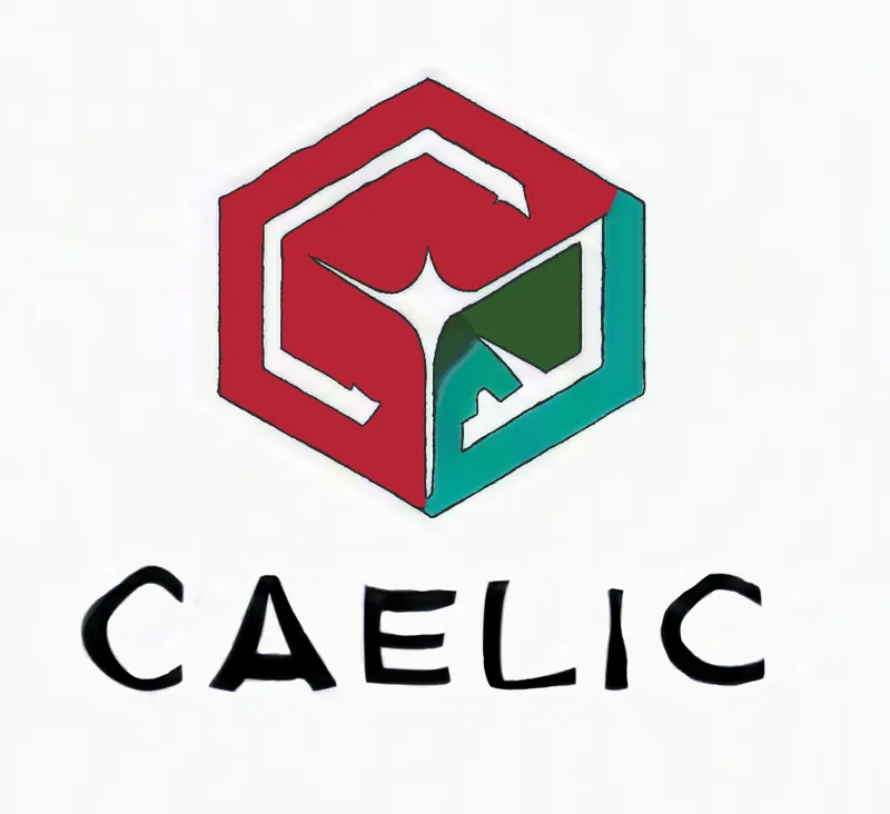 Cameron Cogan- Founder of CAELIC
